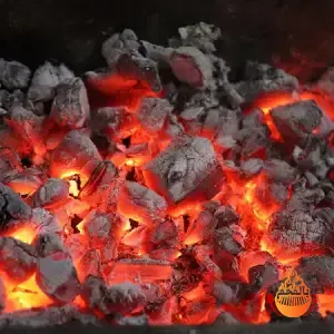 الفحم النباتي
